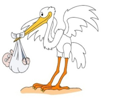 картитка ЗАГСа.jpg картитка ЗАГСа.jpg